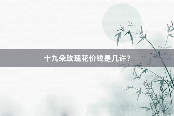 十九朵玫瑰花价钱是几许?